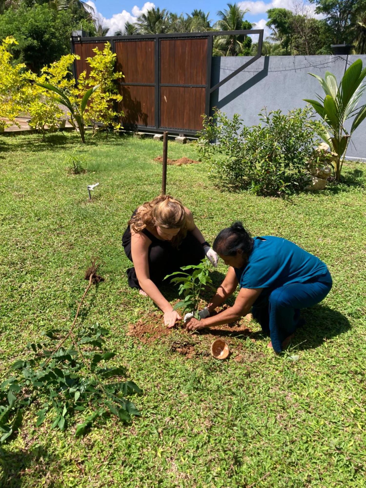 Amba Kola Udawalawa Hotel Udawalawe Luaran gambar