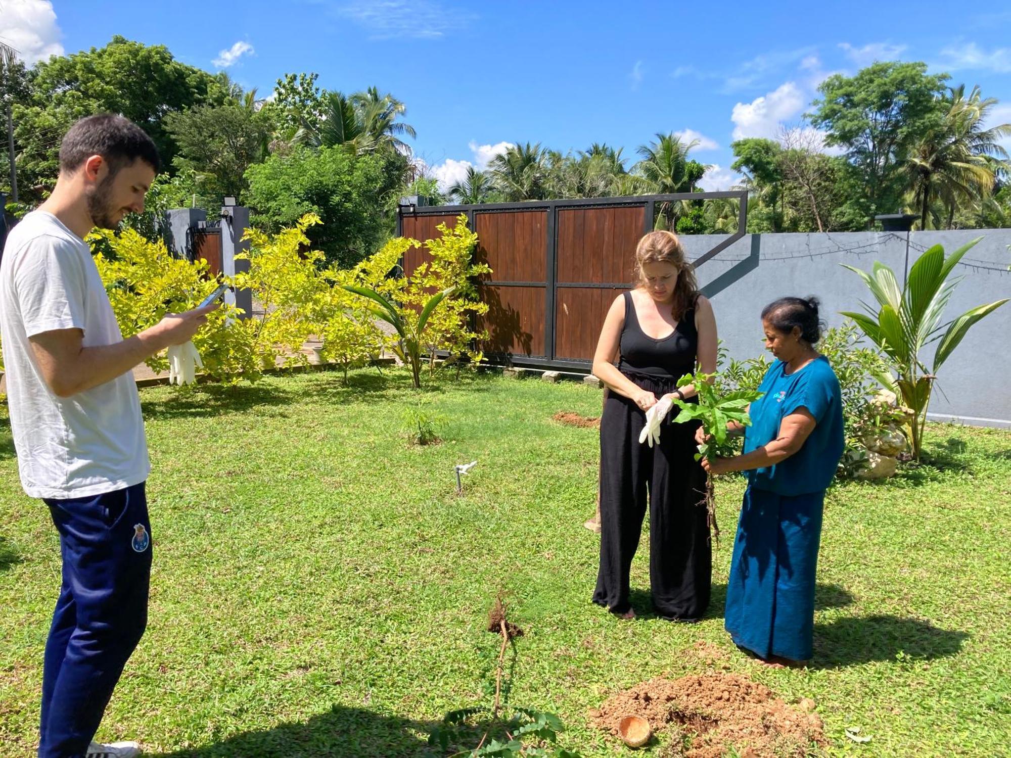 Amba Kola Udawalawa Hotel Udawalawe Luaran gambar