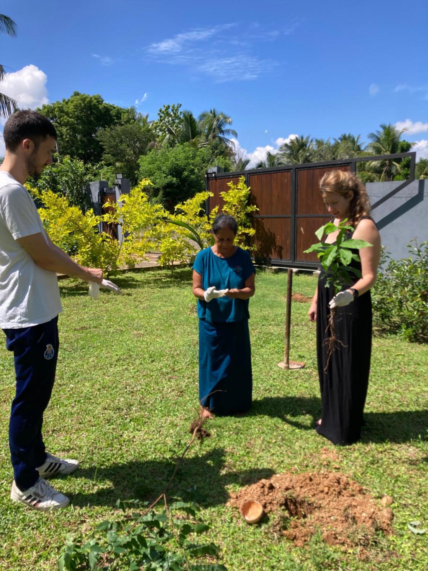 Amba Kola Udawalawa Hotel Udawalawe Luaran gambar